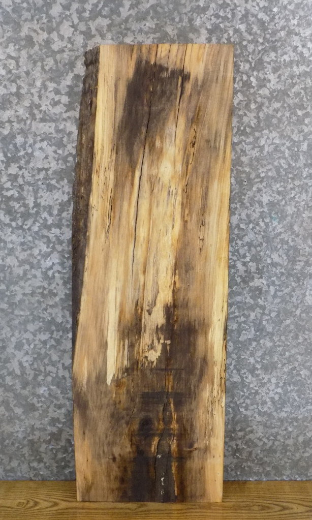 Spalted Maple Kiln Dried Lumber Board/Floating Vanity Slab 16808