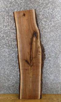 Thumbnail for Natural Edge Bark Black Walnut Salvaged Side Table Top Slab 1702