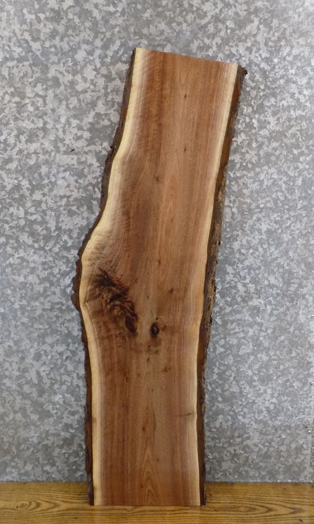 Natural Edge Bark Black Walnut Salvaged Side Table Top Slab 1702