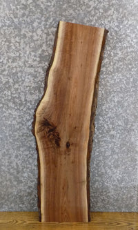 Thumbnail for Natural Edge Bark Black Walnut Salvaged Side Table Top Slab 1702