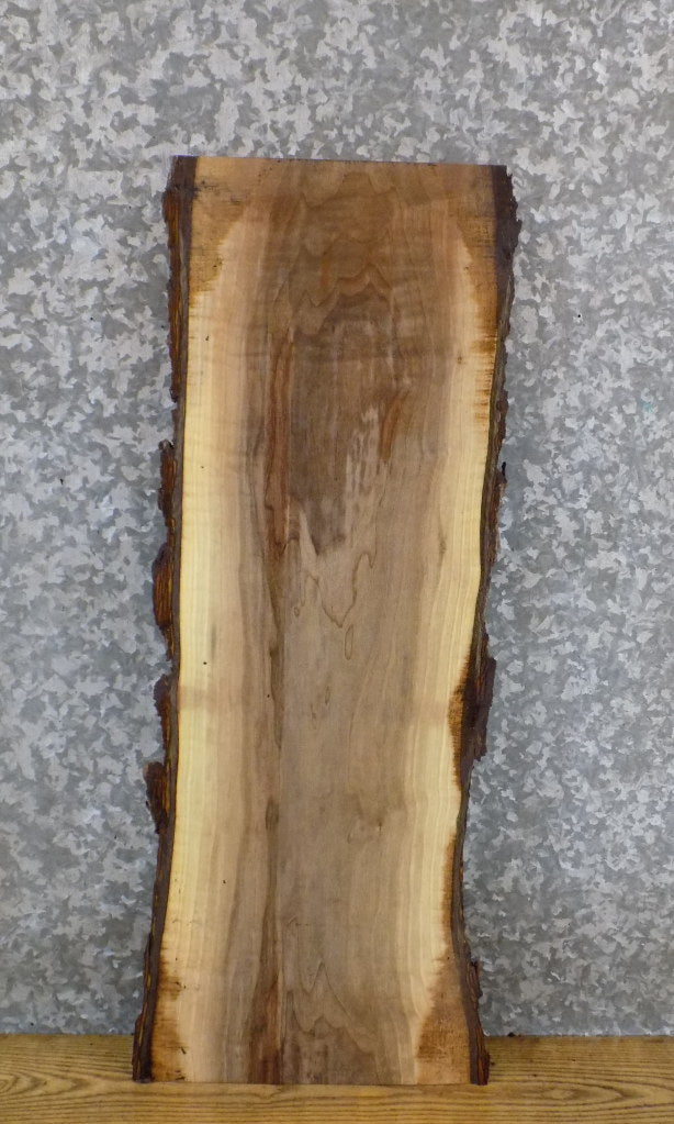 Live Edge Bark Reclaimed Black Walnut Side Table Top Slab 1789