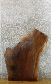 Thumbnail for Live Edge Black Walnut Sofa Table Top Wood Slab CLOSEOUT 1812
