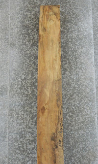 Thumbnail for Spalted Maple Thick Cut Rustic Mantel Wood Slab CLOSEOUT 20001