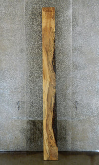 Thumbnail for Spalted Maple Partial Live Edge Mantel Wood Slab CLOSEOUT 20024