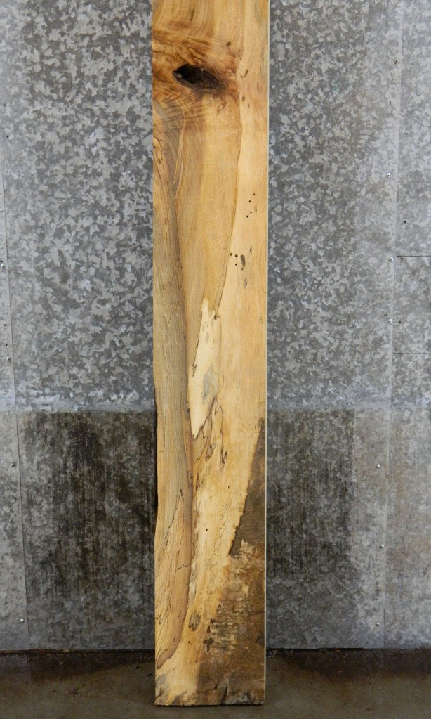 Spalted Maple Partial Live Edge Mantel Wood Slab CLOSEOUT 20024