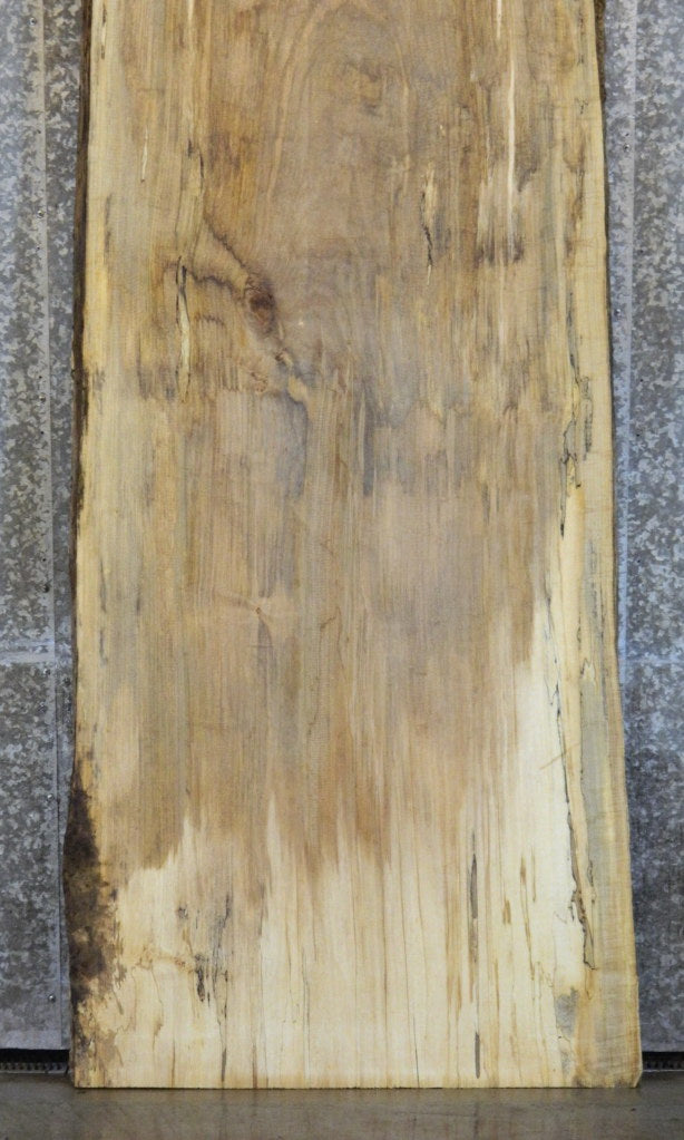Spalted Maple Live Edge Bar/Table Top Wood Slab CLOSEOUT 20183