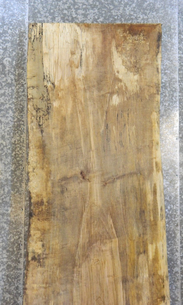 Spalted Maple Live Edge Bar/Table Top Wood Slab CLOSEOUT 20183