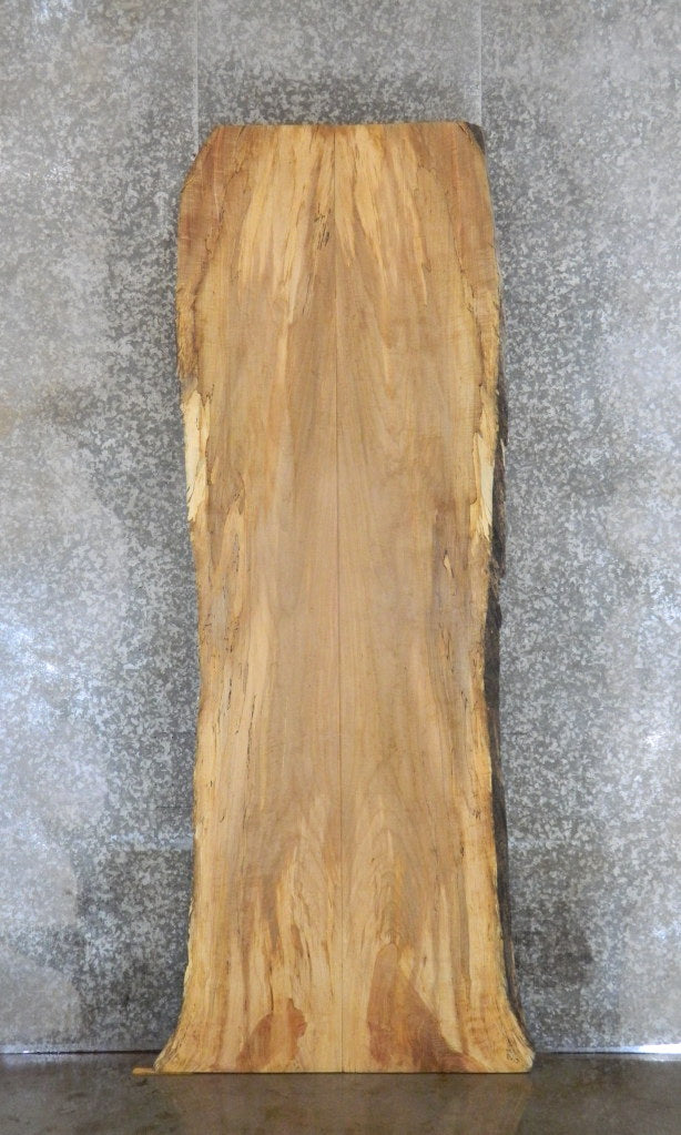 2- Live Edge Spalted Maple Dining Table Top Slabs CLOSEOUT 20336-20337