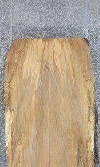 Thumbnail for 2- Live Edge Spalted Maple Dining Table Top Slabs CLOSEOUT 20336-20337