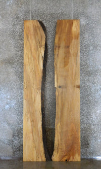 Thumbnail for 2- Live Edge Spalted Maple Dining Table Top Slabs CLOSEOUT 20336-20337
