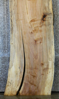 Thumbnail for Spalted Maple Natural Edge Bar/Counter/Bar Top Slab CLOSEOUT 20361