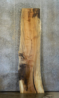 Thumbnail for Spalted Maple Natural Edge Bar/Counter/Bar Top Slab CLOSEOUT 20361