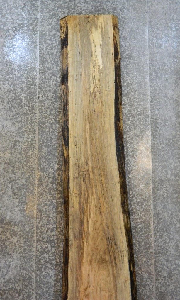 Live Edge Spalted Maple Bar/Counter Top Wood Slab CLOSEOUT 20420