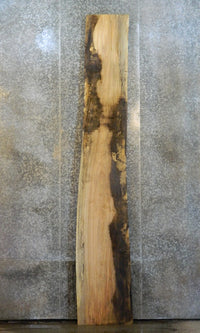 Thumbnail for Live Edge Spalted Maple Bar/Counter Top Wood Slab CLOSEOUT 20420