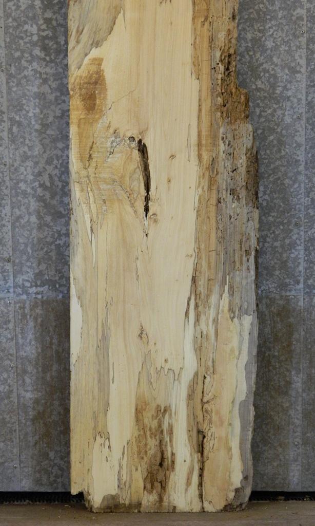 Partial Natural Edge Spalted Maple Headboard Slab CLOSEOUT 20472
