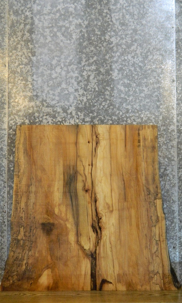 Live Edge Spalted Maple Rustic Table Top Slab CLOSEOUT 20719