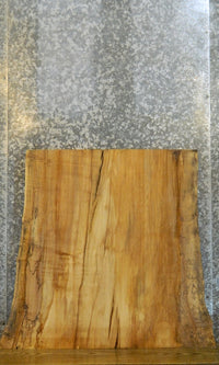 Thumbnail for Live Edge Spalted Maple Rustic Table Top Slab CLOSEOUT 20719