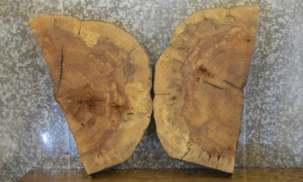 2- Round Cut Ash Split Board/Side Table Top Slab CLOSEOUT 20729
