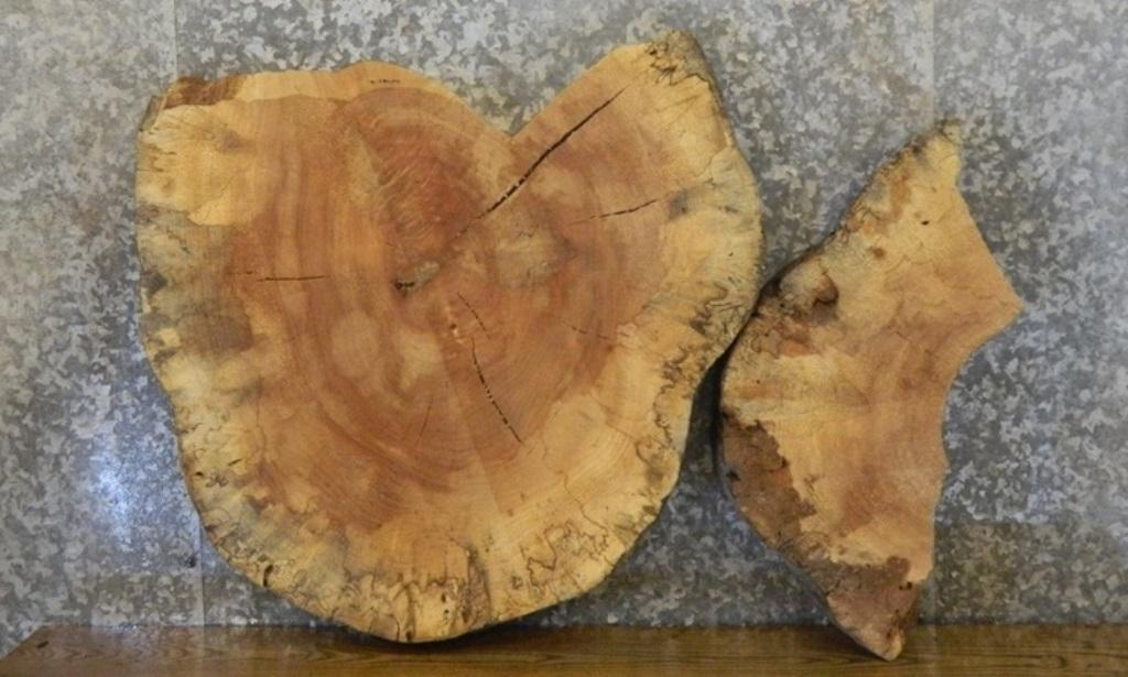 2- Natural Edge Spalted Maple Oval Cut Split Board Slabs CLOSEOUT 20731