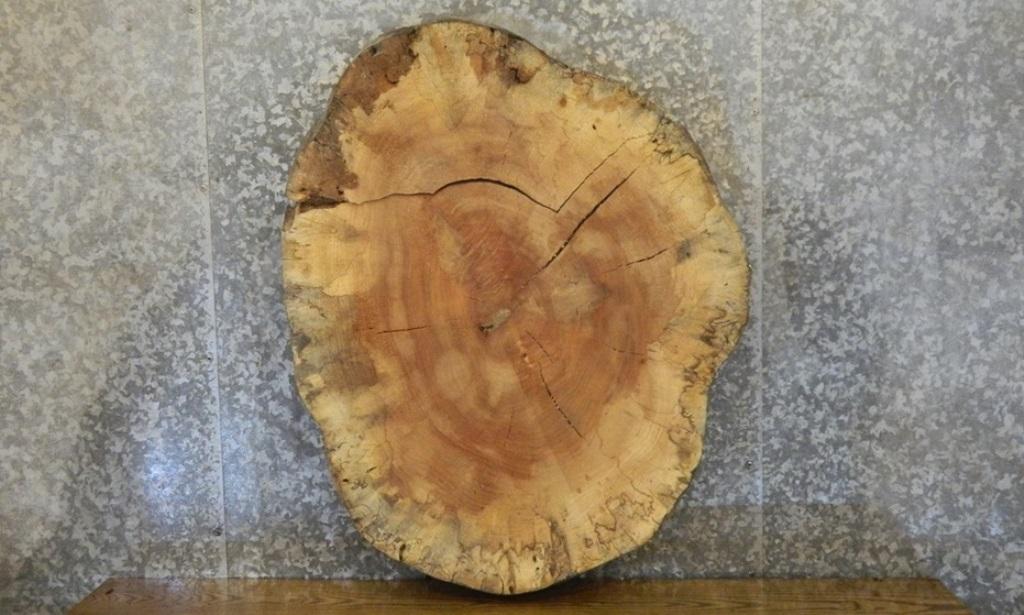 2- Natural Edge Spalted Maple Oval Cut Split Board Slabs CLOSEOUT 20731
