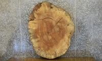 Thumbnail for 2- Natural Edge Spalted Maple Oval Cut Split Board Slabs CLOSEOUT 20731