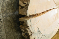 Thumbnail for Salvaged Live Edge Locust Round Cut Sofa Table Slab CLOSEOUT 20753