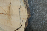 Thumbnail for Salvaged Live Edge Locust Round Cut Sofa Table Slab CLOSEOUT 20753