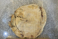 Thumbnail for Round Cut Live Edge Cottonwood Coffee Table Top CLOSEOUT 20767