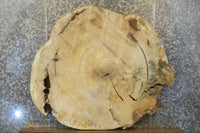 Thumbnail for Salvaged Round Cut Cottonwood Live Edge Table Top CLOSEOUT 20768