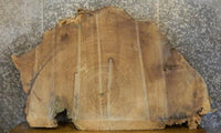Thumbnail for Partial Live Edge Cottonwood Oval Cut Table Slab CLOSEOUT 20770