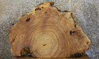 Thumbnail for Rustic Partial Live Edge Cottonwood Oval Cut Slab CLOSEOUT 20772