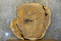 Thumbnail for Natural Edge Round Cut Cottonwood Coffee Table Top CLOSEOUT 20776