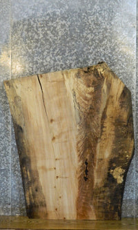 Thumbnail for Live Edge Spalted Maple Coffee Table/Desk Top Slab CLOSEOUT 20802