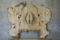 Thumbnail for 2- Live Edge Bookmatched Cottonwood Burl Wall Art Slabs CLOSEOUT 20820-20821