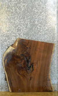 Thumbnail for Natural Edge Black Walnut Sofa Table Top Slab CLOSEOUT 20846