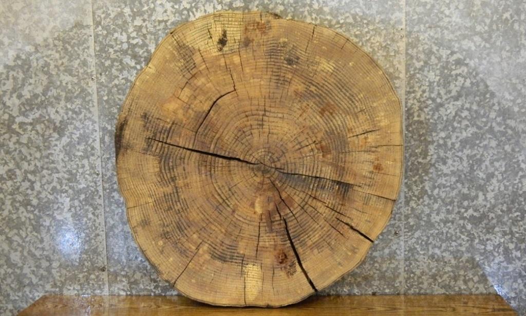 Live Edge Ash Round Cut Rustic Side Table Top Slab CLOSEOUT 20858