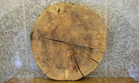 Thumbnail for Live Edge Ash Round Cut Rustic Side Table Top Slab CLOSEOUT 20858