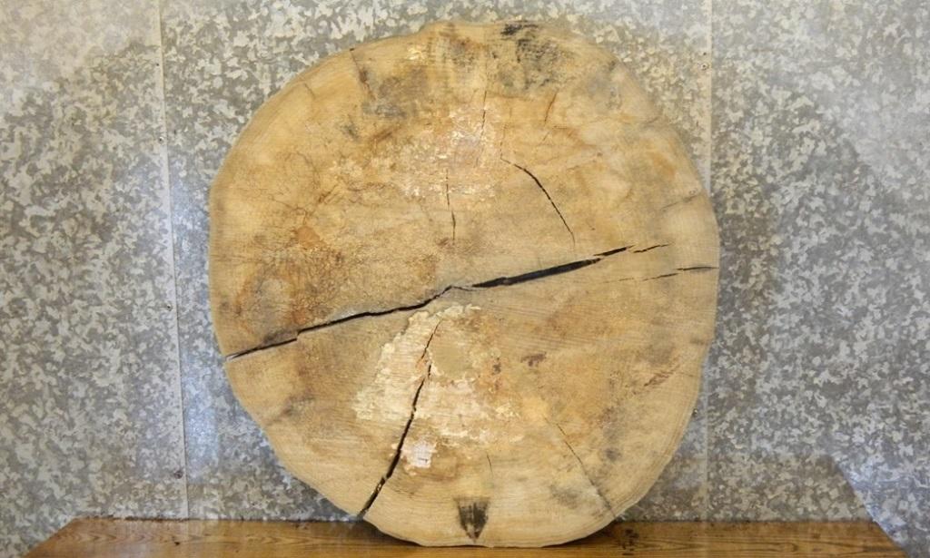 Live Edge Ash Round Cut Rustic Side Table Top Slab CLOSEOUT 20858
