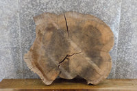 Thumbnail for Salvaged Live Edge Round Cut Elm Sofa/Entry Table Top Slab 20884