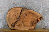 Thumbnail for 2- Natural Edge Oval Cut Ash Table Top/Split Board Slabs 20894