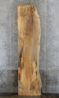 Thumbnail for Partial Live Edge Spalted Maple Bar Top Wood Slab CLOSEOUT 293