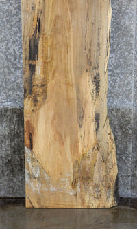 Thumbnail for Partial Live Edge Spalted Maple Bar Top Wood Slab CLOSEOUT 293