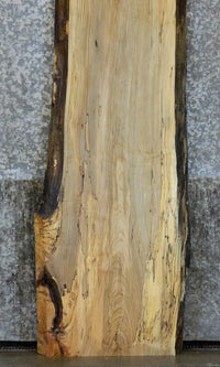 Thumbnail for Natural Edge Spalted Maple Bar Top Wood Slab CLOSEOUT 298