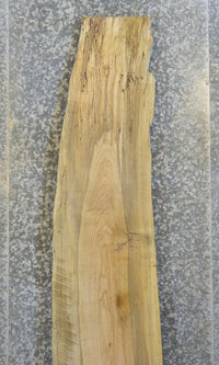 Thumbnail for Natural Edge Spalted Maple Bar Top Wood Slab CLOSEOUT 298