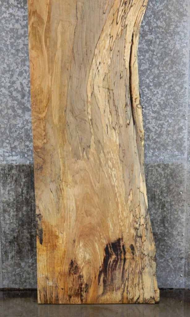 Partial Live Edge Spalted Maple Bar Top Wood Slab CLOSEOUT 301