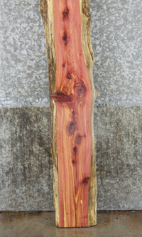 Thumbnail for Thick Cut Red Cedar Bar Top/Mantel Wood Slab CLOSEOUT 39172