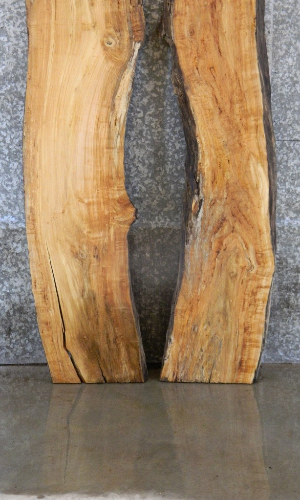 2- Live Edge Maple Bar/Table Top Wood Slabs CLOSEOUT 39348-39349