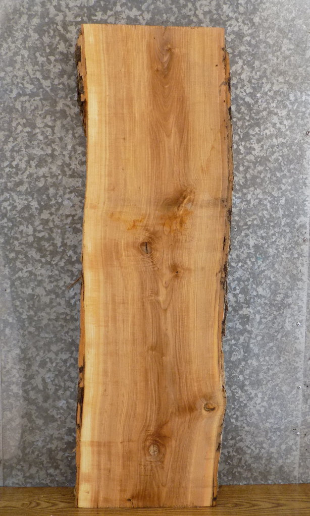 Salvaged Natural Edge Bark Ash Sofa/Side Table Top Slab 40052