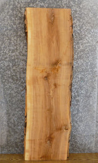 Thumbnail for Salvaged Natural Edge Bark Ash Sofa/Side Table Top Slab 40052