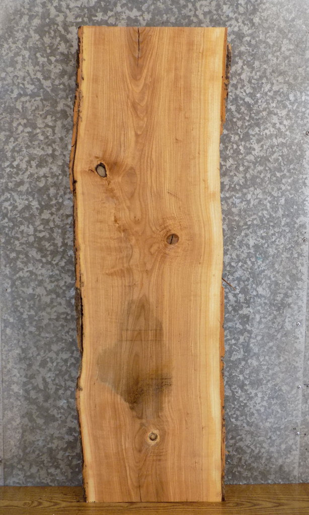 Salvaged Natural Edge Bark Ash Sofa/Side Table Top Slab 40052